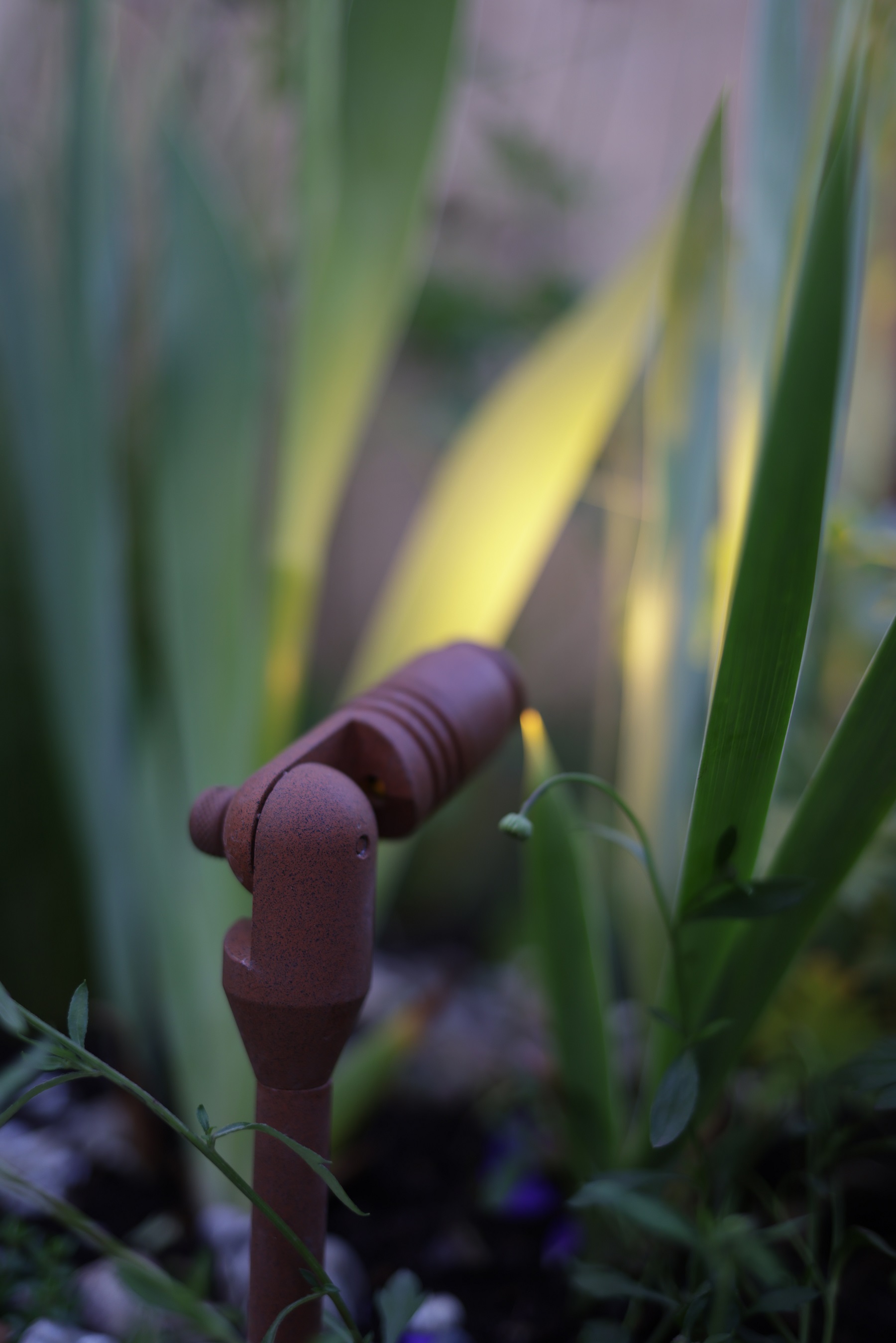 Rose hill luxury Gardens