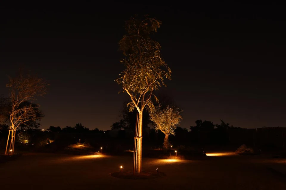 In front of a beutifual tree in the UAE