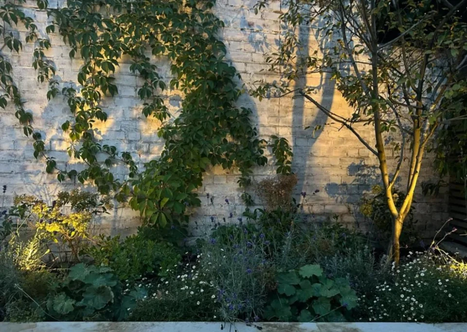 Dapled shadow play